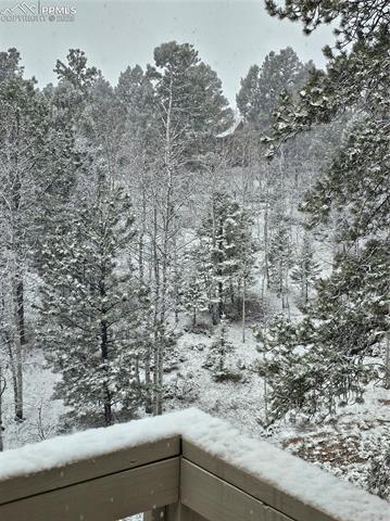 MLS Image for 493  Lost Lake  ,Divide, Colorado