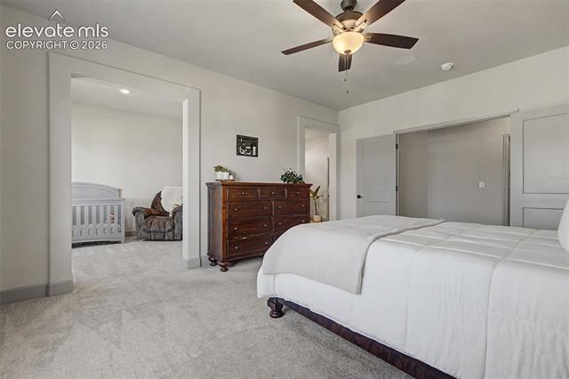 MLS Image for 11634  Justify  ,Colorado Springs, Colorado