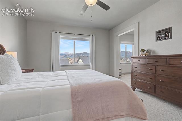 MLS Image for 11634  Justify  ,Colorado Springs, Colorado