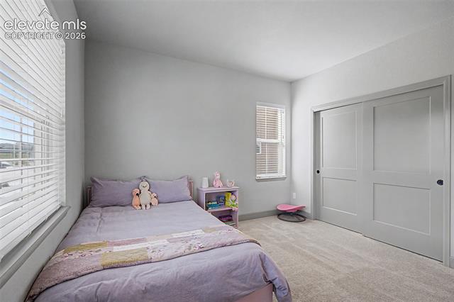 MLS Image for 11634  Justify  ,Colorado Springs, Colorado