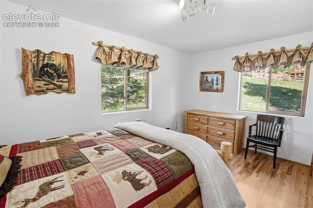 MLS Image for 81  Pamona Lake  ,Divide, Colorado
