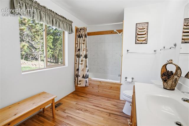 MLS Image for 81  Pamona Lake  ,Divide, Colorado