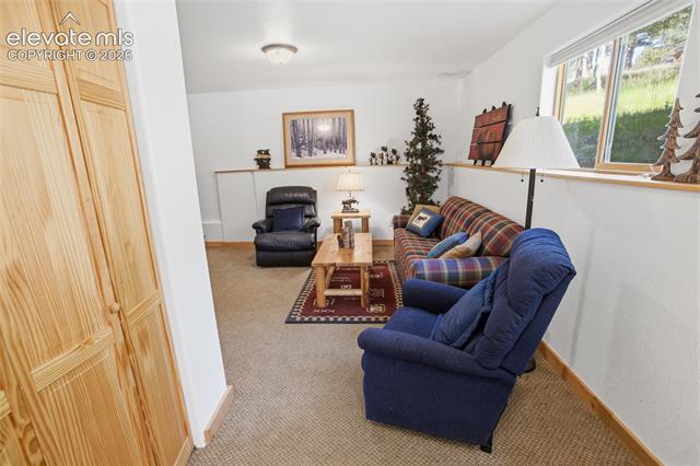 MLS Image for 81  Pamona Lake  ,Divide, Colorado