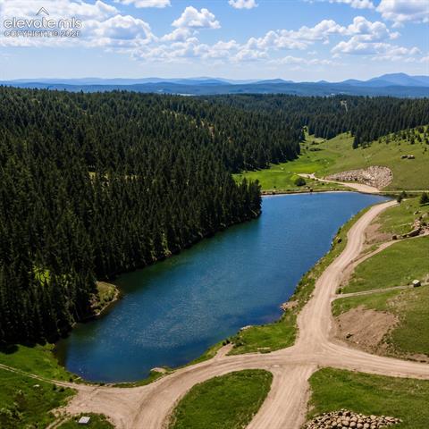 MLS Image for 81  Pamona Lake  ,Divide, Colorado