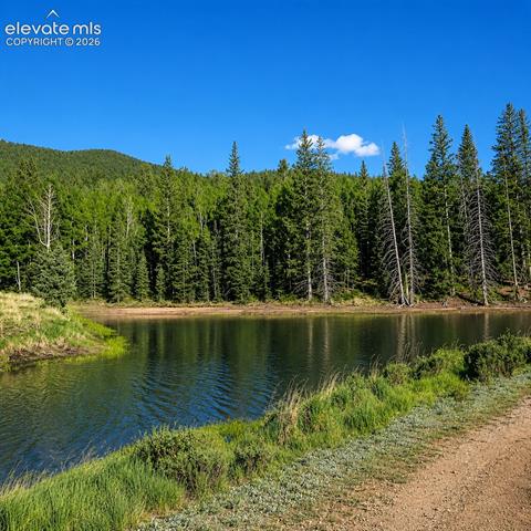 MLS Image for 81  Pamona Lake  ,Divide, Colorado