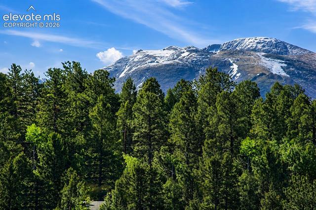MLS Image for 81  Pamona Lake  ,Divide, Colorado