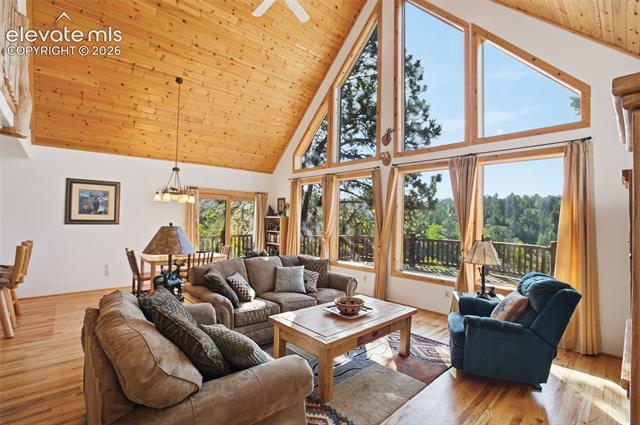 MLS Image for 81  Pamona Lake  ,Divide, Colorado