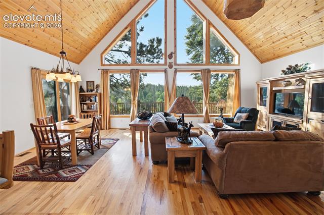 MLS Image for 81  Pamona Lake  ,Divide, Colorado