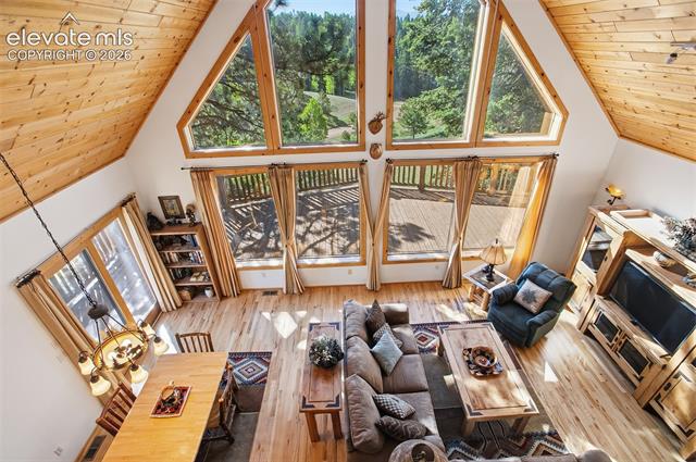MLS Image for 81  Pamona Lake  ,Divide, Colorado