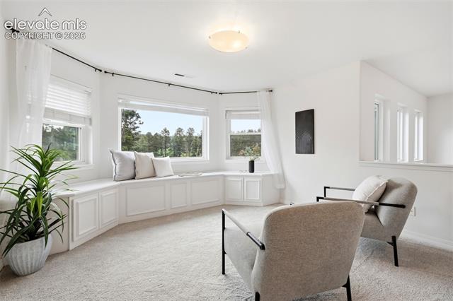 MLS Image for 1005  Woodmoor  ,Monument, Colorado