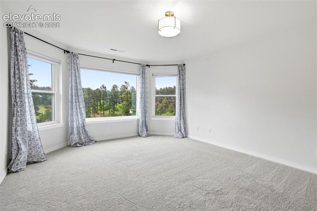 MLS Image for 1005  Woodmoor  ,Monument, Colorado