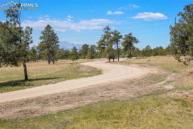 MLS Image for 11865  Vollmer  ,Colorado Springs, Colorado