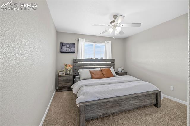 MLS Image for 7815  Dry Willow  ,Colorado Springs, Colorado