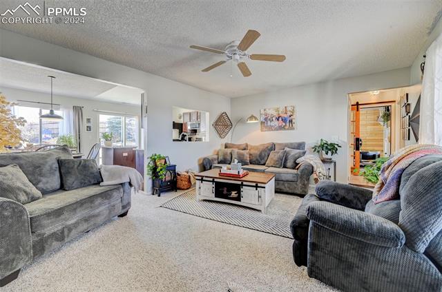 MLS Image for 5689  Tomiche  ,Colorado Springs, Colorado