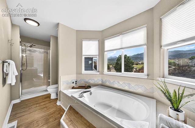 MLS Image for 573  Crown Hill Mesa  ,Colorado Springs, Colorado