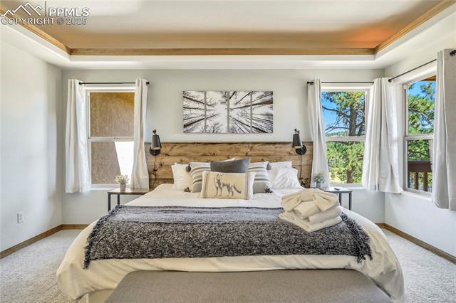 MLS Image for 1301  Masters  ,Woodland Park, Colorado