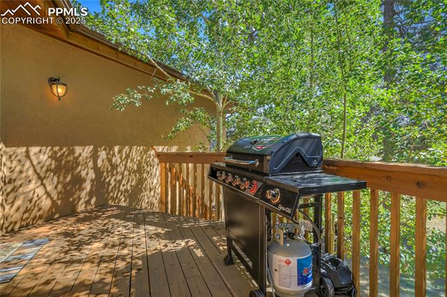 MLS Image for 1301  Masters  ,Woodland Park, Colorado