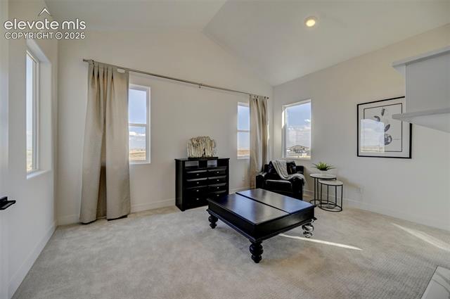 MLS Image for 13502  Woods Grove  ,Peyton, Colorado