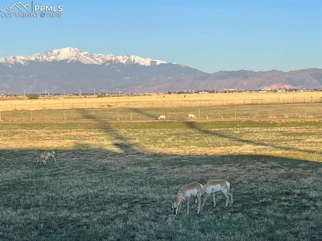 MLS Image for 7875  Falcon Meadow  ,Peyton, Colorado