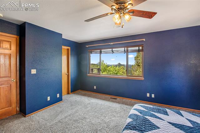 MLS Image for 85  Homestead  ,Divide, Colorado