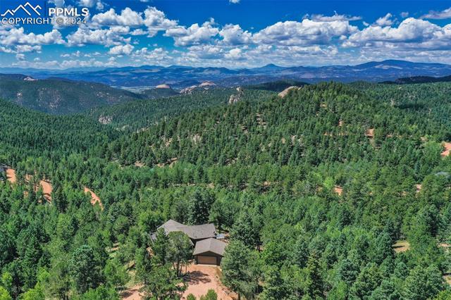 MLS Image for 85  Homestead  ,Divide, Colorado