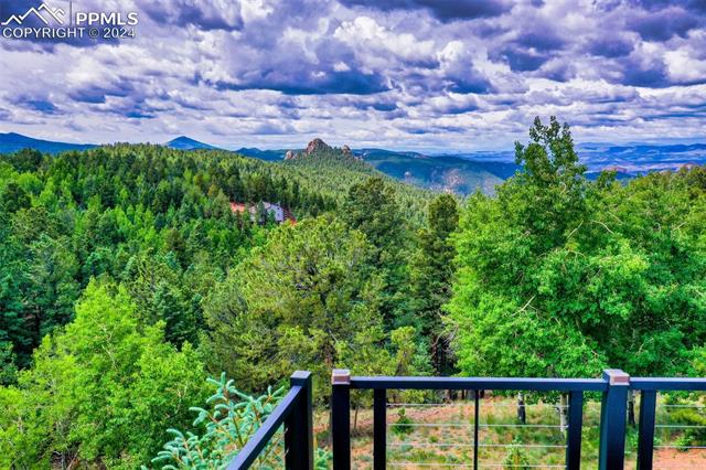 MLS Image for 85  Homestead  ,Divide, Colorado