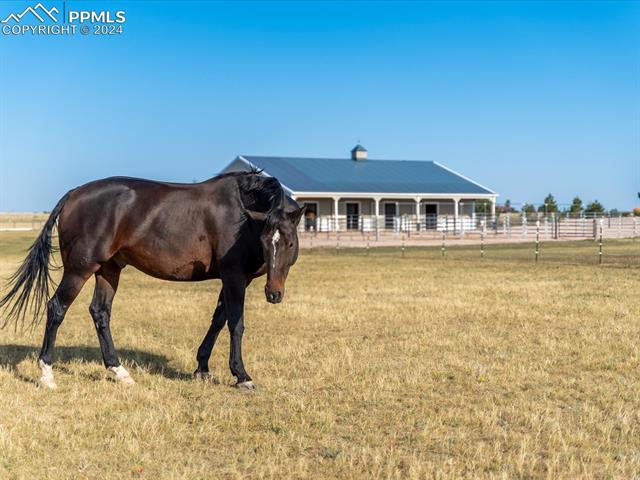 MLS Image for 3545  Matt Dillon  ,Elbert, Colorado