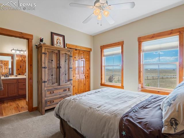 MLS Image for 3545  Matt Dillon  ,Elbert, Colorado