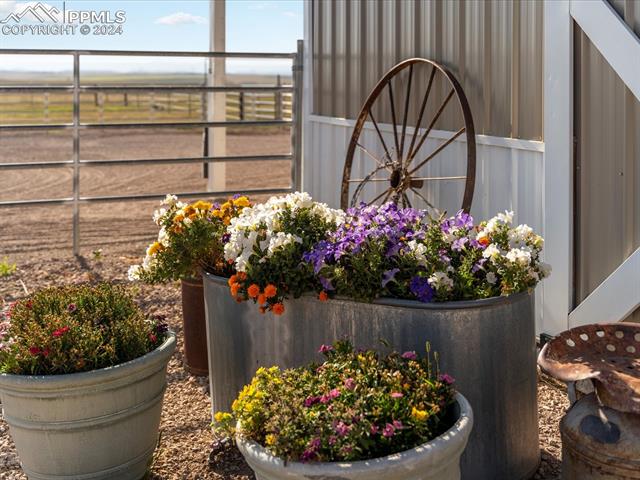 MLS Image for 3545  Matt Dillon  ,Elbert, Colorado