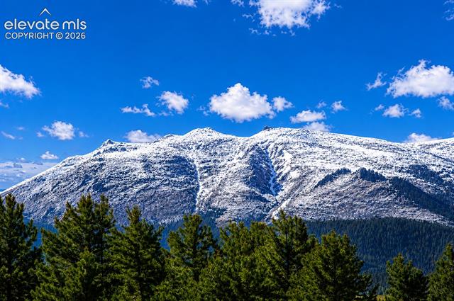 MLS Image for 60 E Aspen  ,Divide, Colorado
