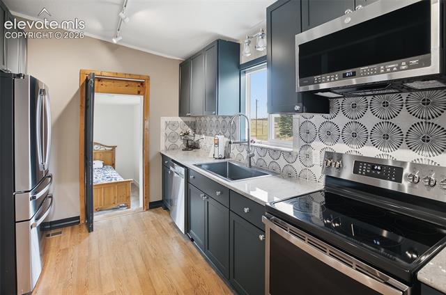 MLS Image for 60 E Aspen  ,Divide, Colorado