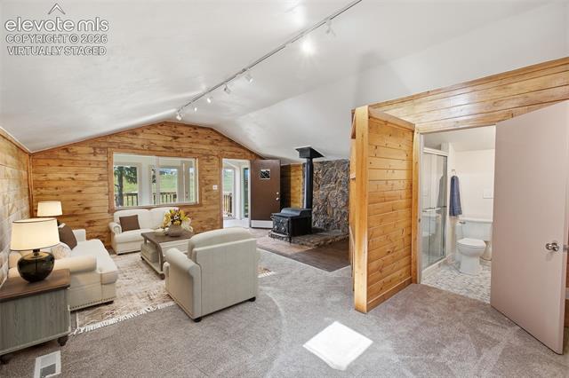 MLS Image for 60 E Aspen  ,Divide, Colorado