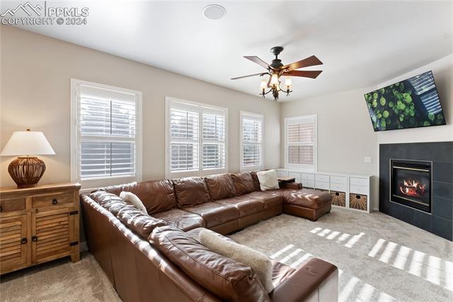 MLS Image for 14114  Tern  ,Colorado Springs, Colorado