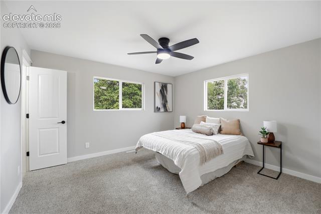MLS Image for 814  Dirksland  ,Colorado Springs, Colorado