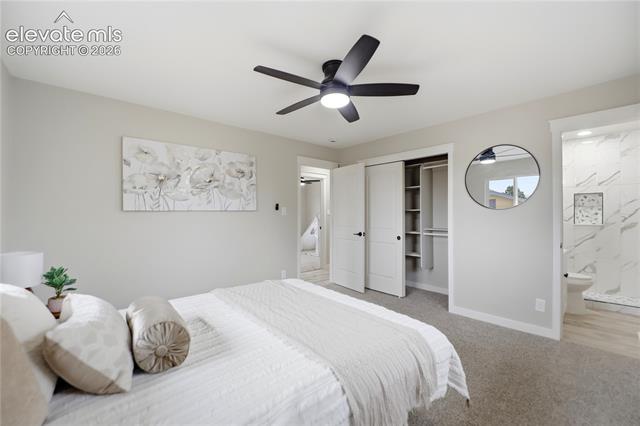 MLS Image for 814  Dirksland  ,Colorado Springs, Colorado