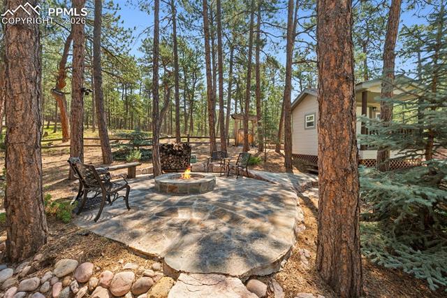 MLS Image for 15765  Pineycove  ,Colorado Springs, Colorado