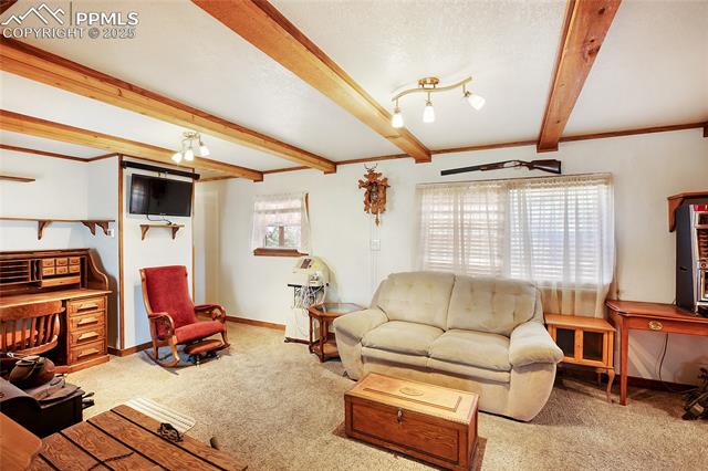 MLS Image for 166  Gentian  ,Woodland Park, Colorado