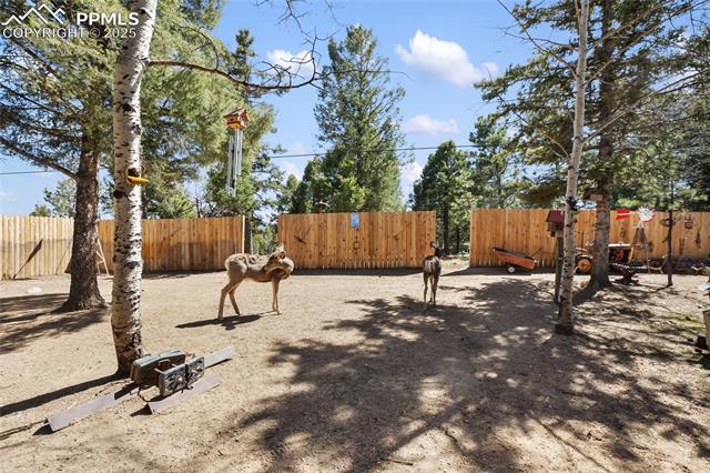 MLS Image for 166  Gentian  ,Woodland Park, Colorado