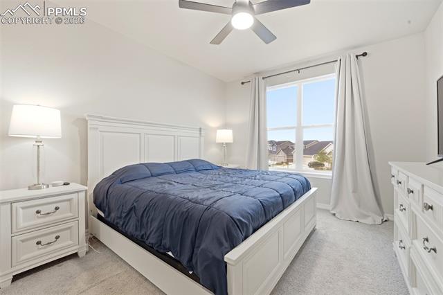 MLS Image for 5803  Morning Light  ,Colorado Springs, Colorado