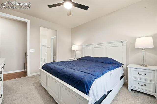 MLS Image for 5803  Morning Light  ,Colorado Springs, Colorado