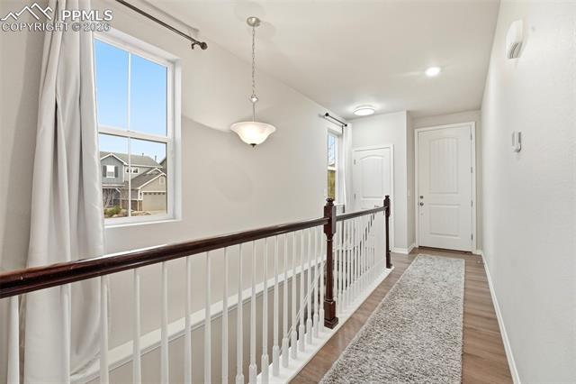 MLS Image for 5803  Morning Light  ,Colorado Springs, Colorado