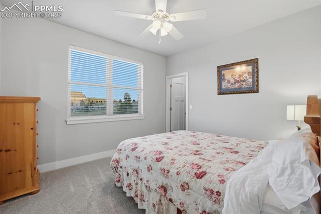 MLS Image for 4016  Needles  ,Colorado Springs, Colorado