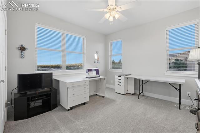 MLS Image for 4016  Needles  ,Colorado Springs, Colorado