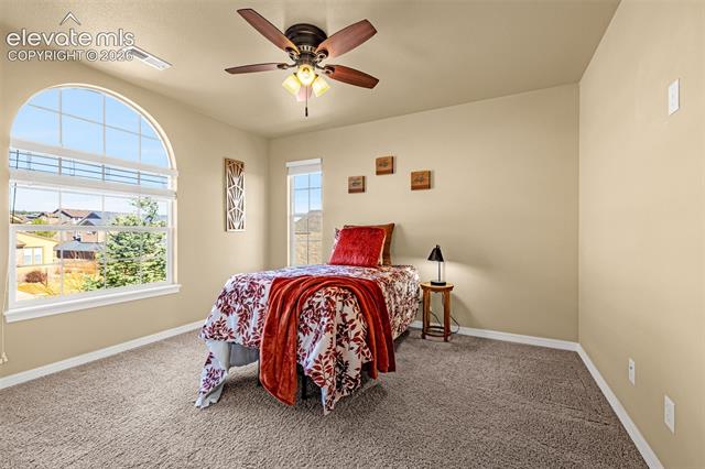 MLS Image for 4829  Rainbow Gulch  ,Colorado Springs, Colorado