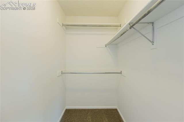 MLS Image for 4315  Basswood  ,Colorado Springs, Colorado