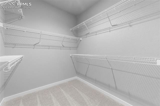 MLS Image for 7935  Progeny  ,Colorado Springs, Colorado