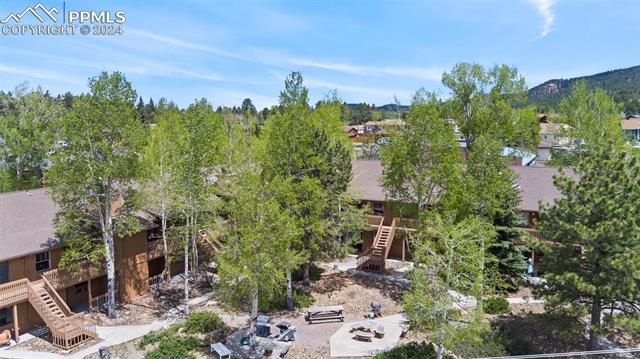 MLS Image for 401  Forest Edge  B11 ,Woodland Park, Colorado