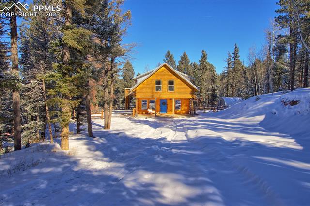 MLS Image for 1245  Blossom  ,Woodland Park, Colorado