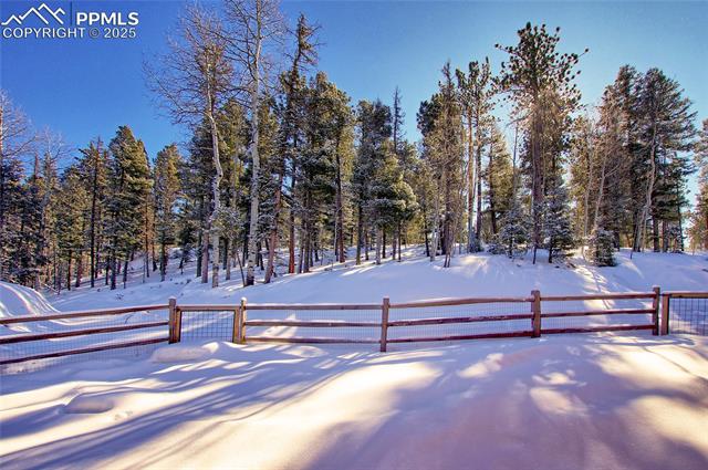 MLS Image for 1245  Blossom  ,Woodland Park, Colorado