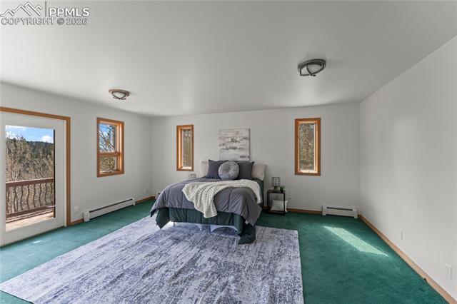 MLS Image for 1008  Cantiberry  ,Divide, Colorado